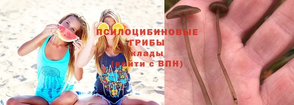 соль ск Бугульма
