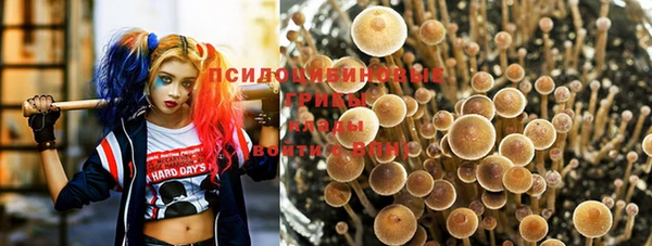 spice Бородино
