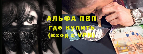 spice Бородино