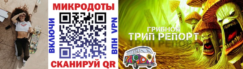 закладки  Инсар  Псилоцибиновые грибы ЛСД 